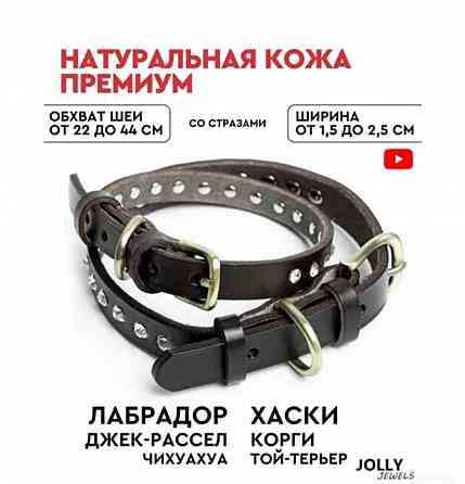 Ошейник кожаный со стразами Донецк