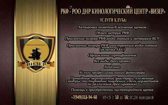 Клуб ркф для собак. Клуб Визер Макеевка