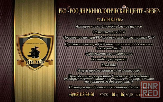Клуб ркф для собак. Клуб Визер Макеевка - изображение 1