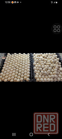 Домашняя продукция Макеевка - изображение 4