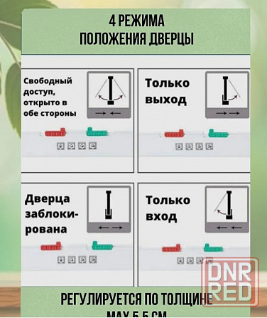 Дверца для кошки (для животных) Донецк - изображение 4