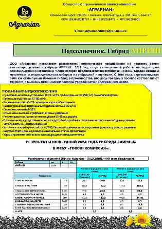 Семена гибрида Аириш Донецк