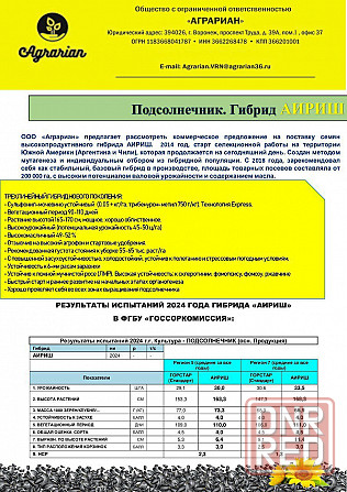 Семена гибрида Аириш Донецк - изображение 4