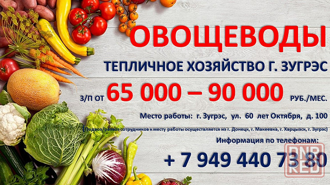 Овощеводы Зугрэс - изображение 1