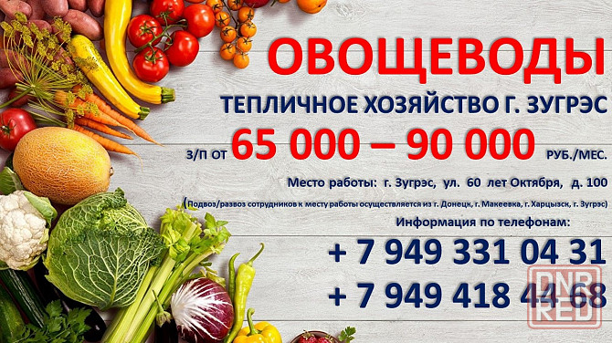 Овощеводы Зугрэс - изображение 1