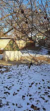 Продается дом в п.г.т. Еленовка Донецк