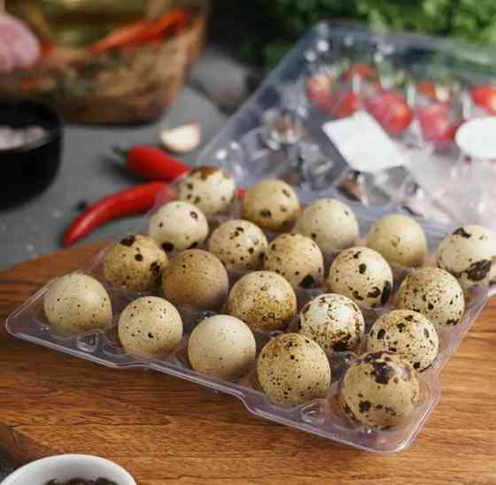 мясо перепела яйцо столовое инкубационное цыплята суточные Макеевка