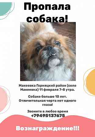 Пропала собака Донецк