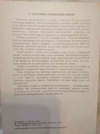 Продам набор окрыток "грибы" Донецк