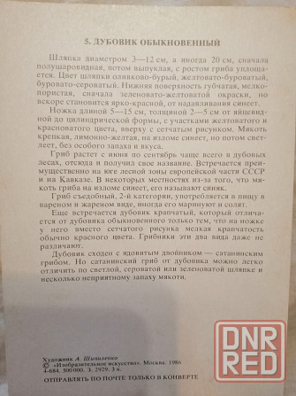Продам набор окрыток "грибы" Донецк - изображение 5