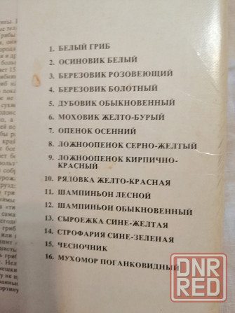 Продам набор окрыток "грибы" Донецк - изображение 8