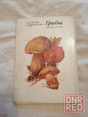 Продам набор окрыток "грибы" Донецк - изображение 4