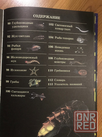 Книга о необычных животных и растениях Донецк - изображение 8