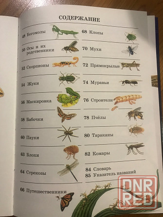 Книга о необычных животных и растениях Донецк - изображение 6