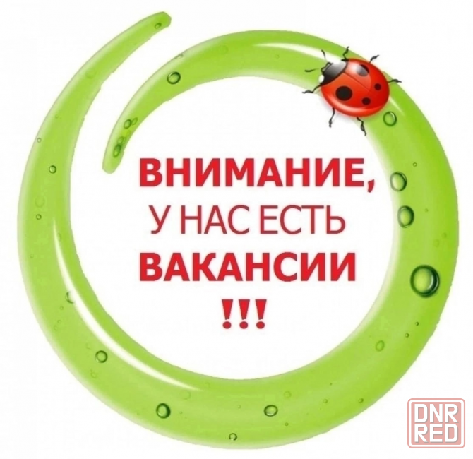 Повар и кухонный рабочий Донецк - изображение 1