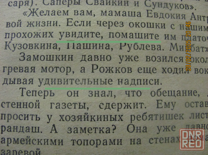 Кочетов донецкий 1962 Донецк - изображение 3