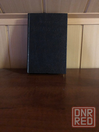 Александра Риплей Донецк - изображение 2