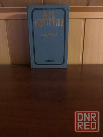 Александр Куприн Донецк - изображение 2