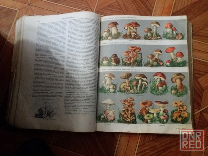 книга энциклопедия домашнего хозяйства Донецк - изображение 5