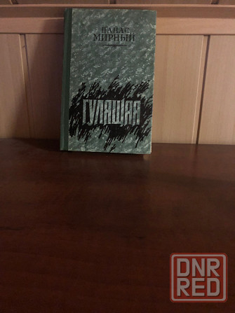 Панас Мирный Донецк - изображение 2