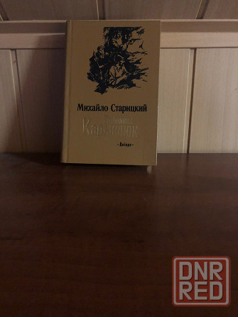 Михайло Старицкий Донецк - изображение 2