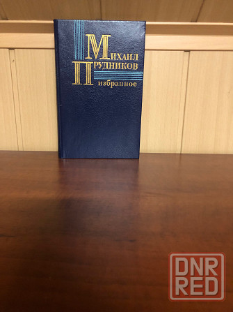 Михаил Прудников Донецк - изображение 2