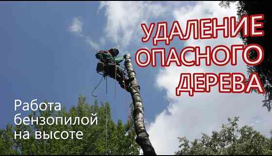 Валка, спил, обрезка деревьев веток Донецк