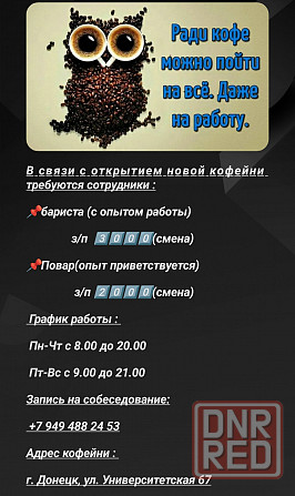 Требуются сотрудники Донецк - изображение 1