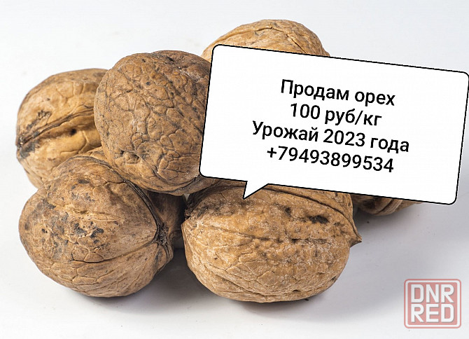 Грецкий орех Донецк - изображение 1