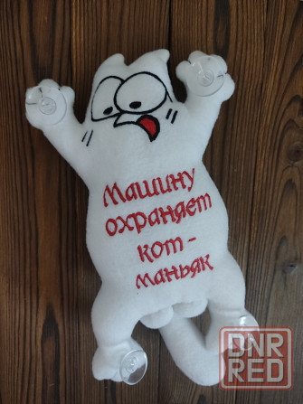 Кот Саймона Донецк - изображение 1
