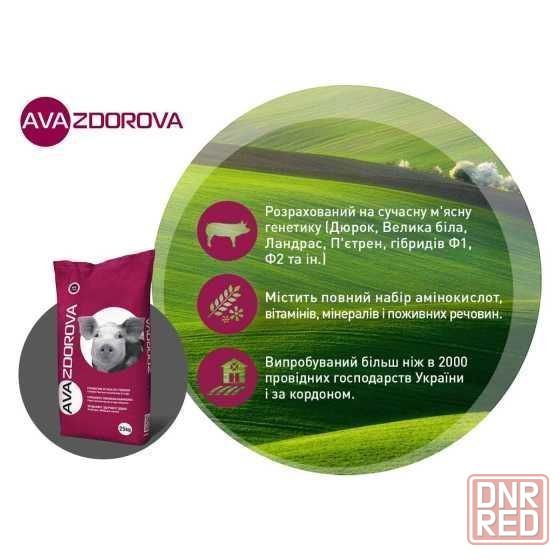 БМВД для свиноматок лактуючих AVA ZDOROVA ЛАКТО 20% Херсон - изображение 4