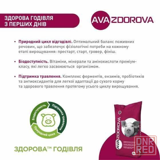 БМВД для свиноматок лактуючих AVA ZDOROVA ЛАКТО 20% Херсон - изображение 2