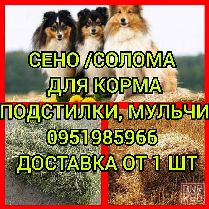СЕНО с ДОСТАВКОЙ от 1 тюка мешка, сіно степное  в тюках мешках Херсон - изображение 1