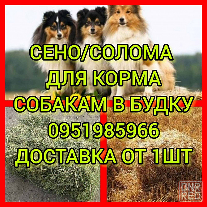 СЕНО с ДОСТАВКОЙ от 1 тюка мешка, сіно степное  в тюках мешках Херсон - изображение 2