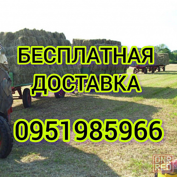 СЕНО с ДОСТАВКОЙ от 1 тюка мешка, сіно степное  в тюках мешках Херсон - изображение 4