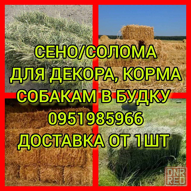 СЕНО с ДОСТАВКОЙ от 1 тюка мешка, сіно степное  в тюках мешках Херсон - изображение 3