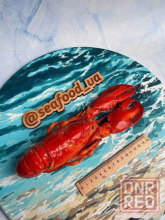 Лобстер, лобстер варено морожений Херсон - изображение 4