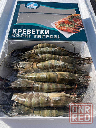 черная тигровая креветка 8-12шт/кг, королевская креветка Херсон - изображение 4