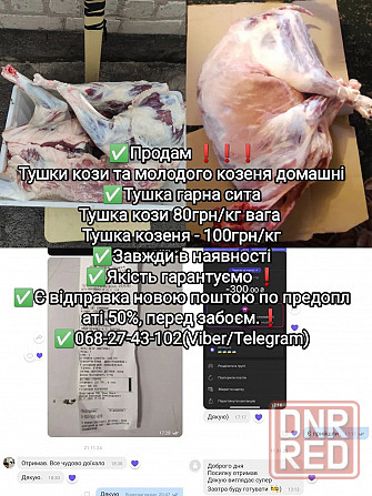 Тушка козеня, коза, козлятина, ягнятина, баранина. Запорожье - изображение 1