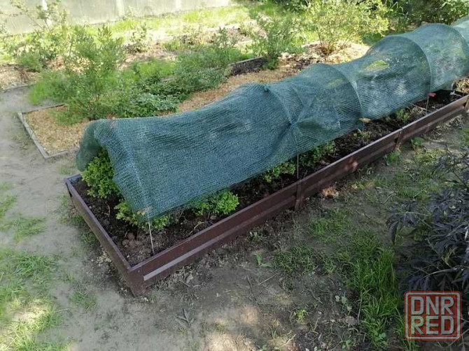 Металеві грядки, бордюр, клумба збірна ЛЮКС висока высокая грядка Херсон - изображение 6