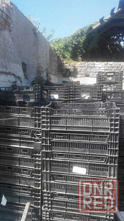 Ящик пищевой 400/600/240 на заморозку, тара для замороженных продуктов Запорожье - изображение 2