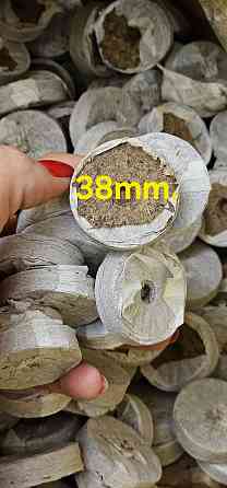 Продаются торфяные таблетки d 38mm. Запорожье