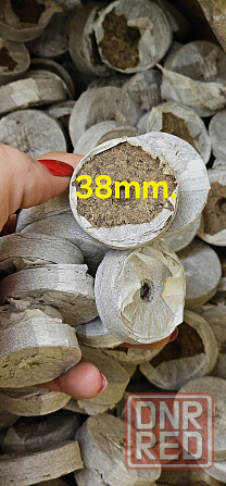 Продаются торфяные таблетки d 38mm. Запорожье - изображение 1