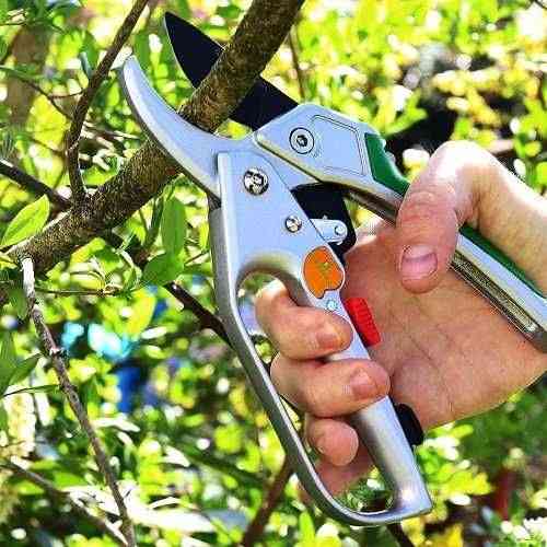 Секатор Gruntek Kondor 200 мм. (295200200). Новий. Запорожье