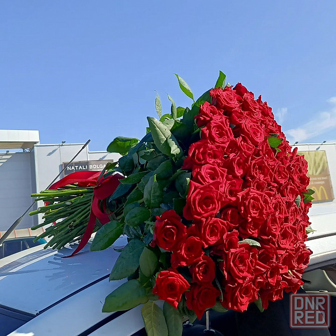 Заказ букета роз 51, 101, 201, 301 шт по оптовым ценам Херсон - изображение 4