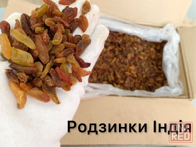 Изюм на Рождество 1 сорт Длинный, Индия. Дамские пальчики изюм Херсон - изображение 1