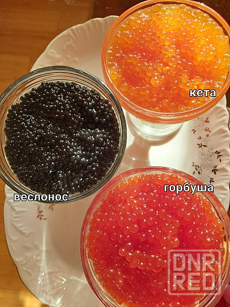 Ікра лососева та Осетрова Икра красная, черная Запорожье - изображение 7