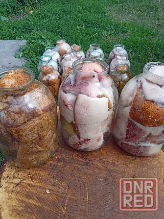 Сало домашнее на соломе Запорожье - изображение 3