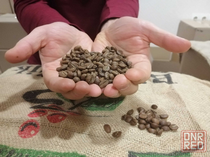 Зерновой кофе SPECIALITY арабика Эфиопия Kochere! Запорожье - изображение 2