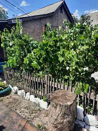 Продам Дом на Капитальной Макеевка